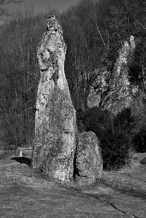 Trochę ch...we zdjęcie