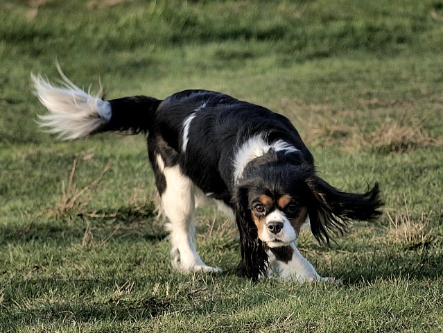 taki jestem dzisiaj rozczochrany...