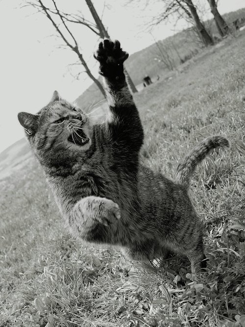 Elza pokazała pazur