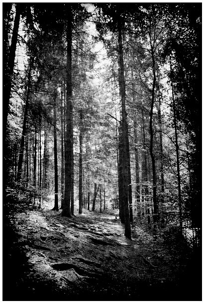 "... nie ma tu właściwie życia, tylko powolne umieranie kolejnych dni. "- Stephen King