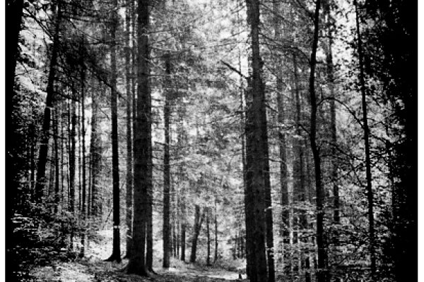 "... nie ma tu właściwie życia, tylko powolne umieranie kolejnych dni. "- Stephen King