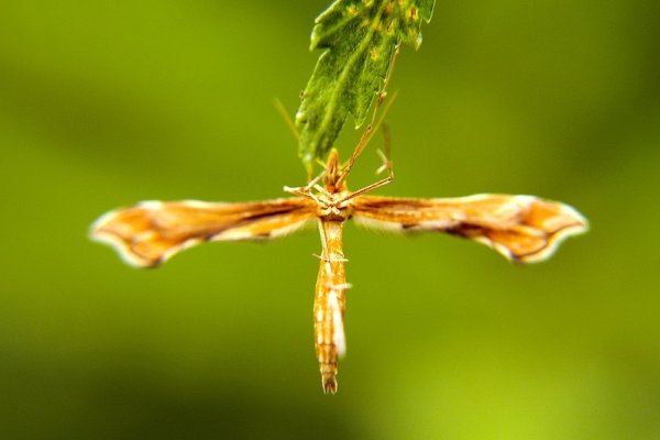 ...pozycja krzyżowa...