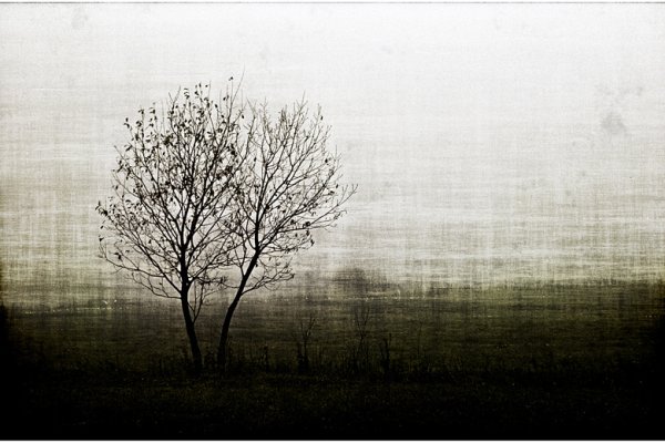 Wszystko, co doskonałe, dojrzewa powoli.