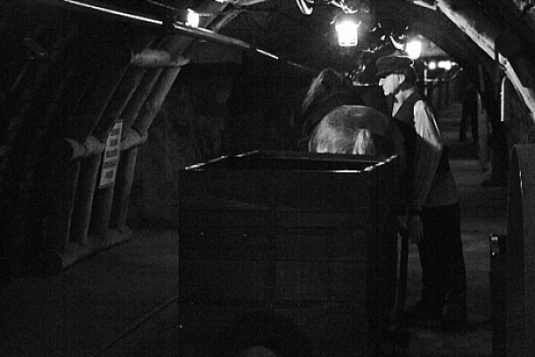 Łysek z pokładu Idy