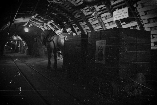 Na Grubie w Hindenburgu