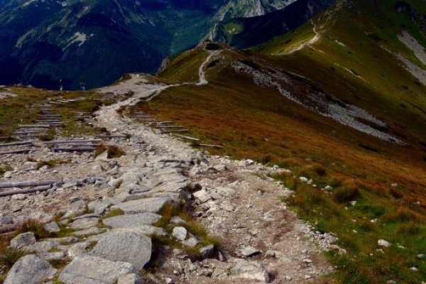 .... Takie tam T....