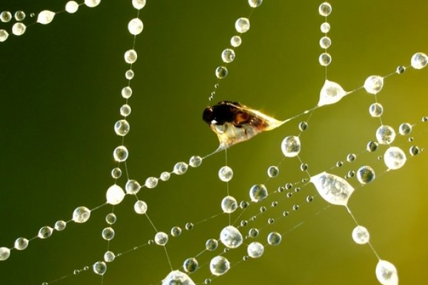 ...kryształowe więzienie...