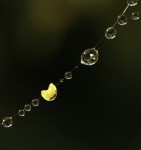 ...mikrokosmos - c.d...