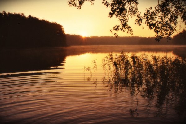 kiedy ranne wstają zorze