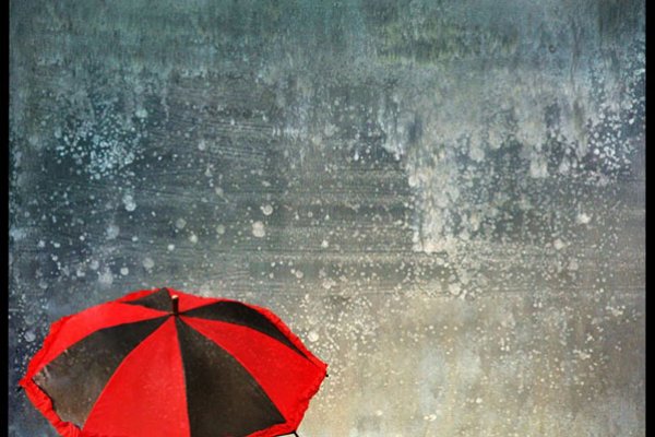 młodzieńcze Parasola kwasy:.