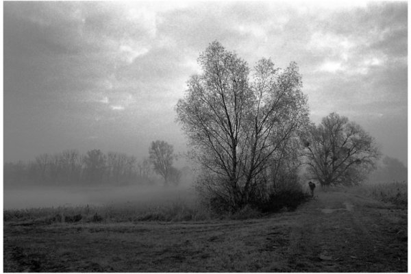 Czerp z innych, ale nie kopiuj ich. Bądź sobą.
