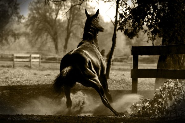 Strach przed wolnością