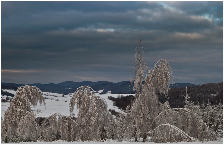 Sylwestrowy szwędacz