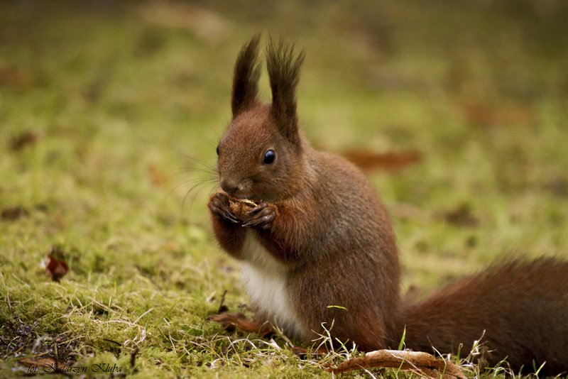 Idzie zima, żartów ni ma