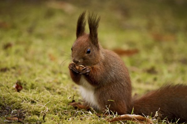 Idzie zima, żartów ni ma