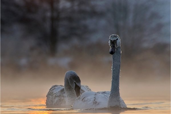 Rano,zimno i w ogóle