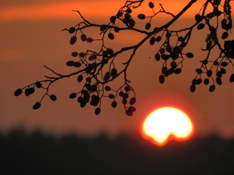 W BLASKU ZACHODZĄCEGO SŁOŃCA
