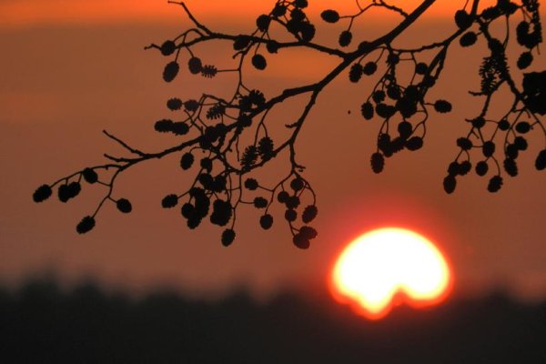 W BLASKU ZACHODZĄCEGO SŁOŃCA