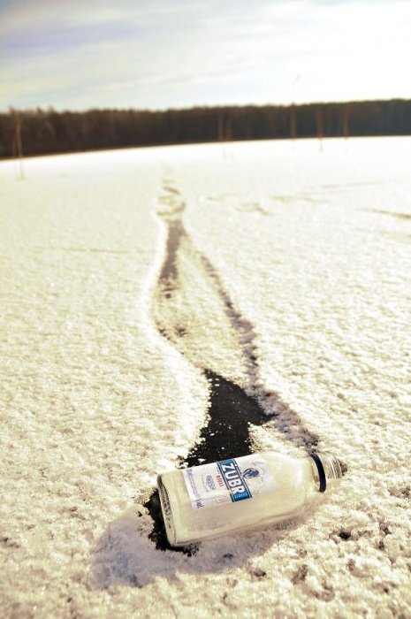 żubr mieszka w puszczy