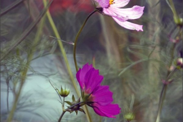 Lądowanie na Kosmosie