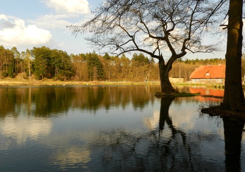 Moje"NAD NIEMNEM"...