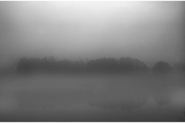 Why don't you take me for a little while