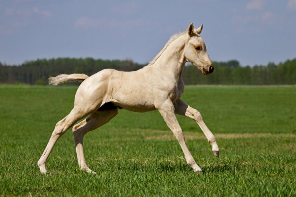 Wiosną rodzi się życie