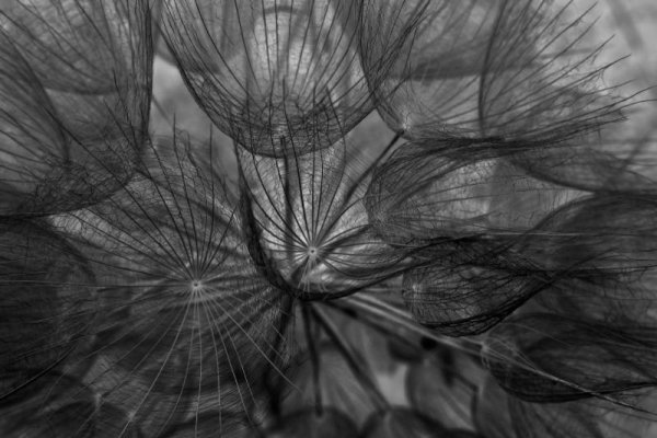 ...jak z innego wymiaru.