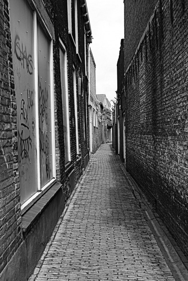 Szara rzeczywistość