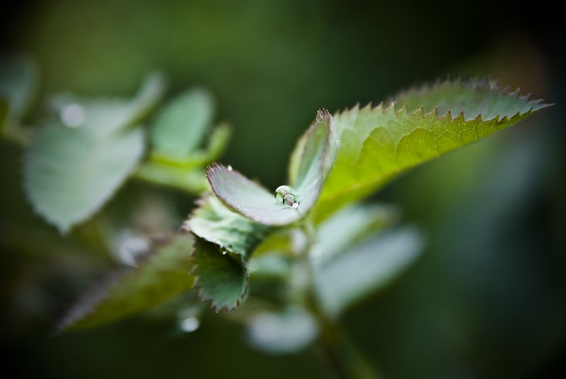 Kropelka do kropelki..