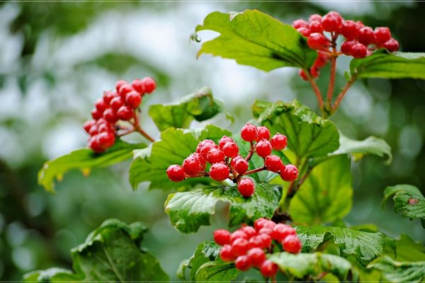 Z naturą za Pan Brat!