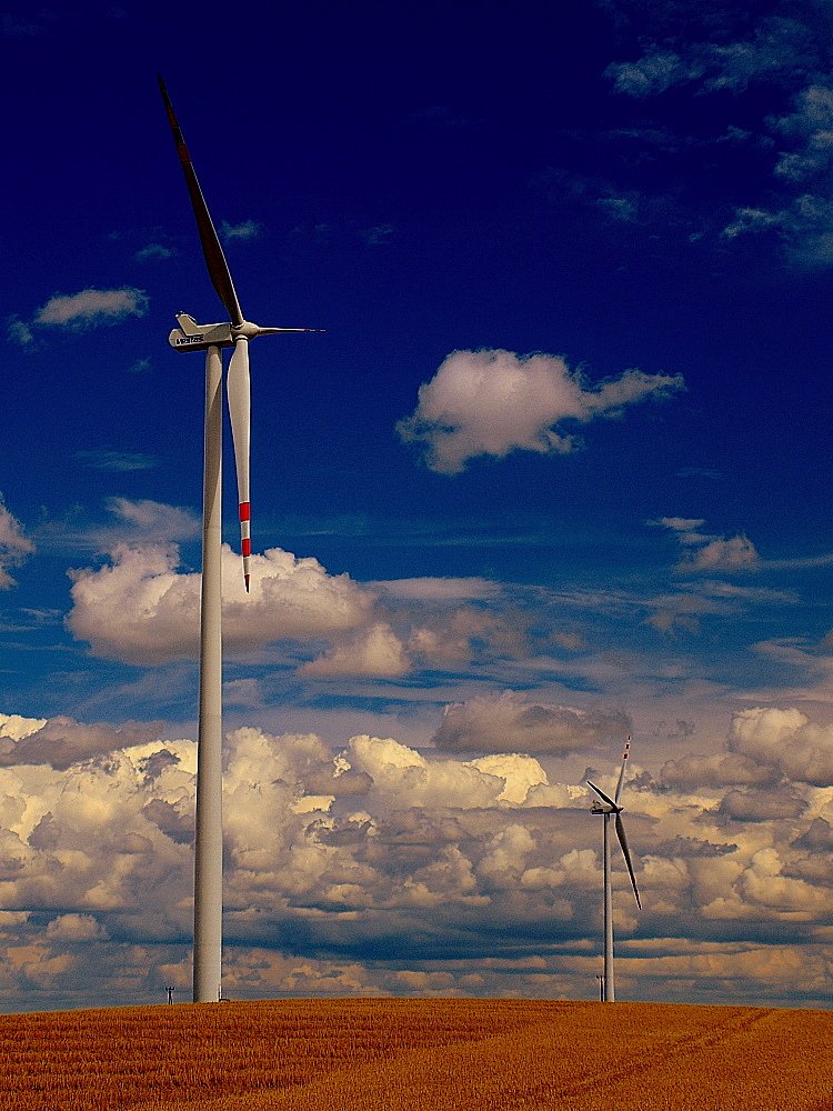 Don Kichote wróóóóóćććć!!!!!