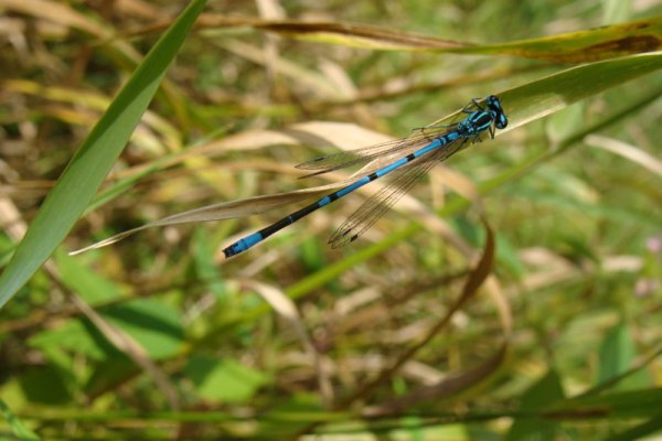 Spotkana na spacerze