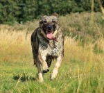 Brudna, mokra ale szczęśliwa...