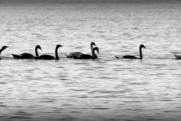 ...niedzielny"spacerek:)