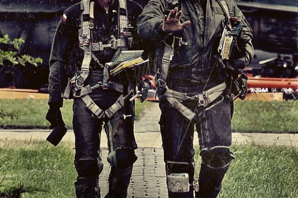 POLACY W BITWIE O GB