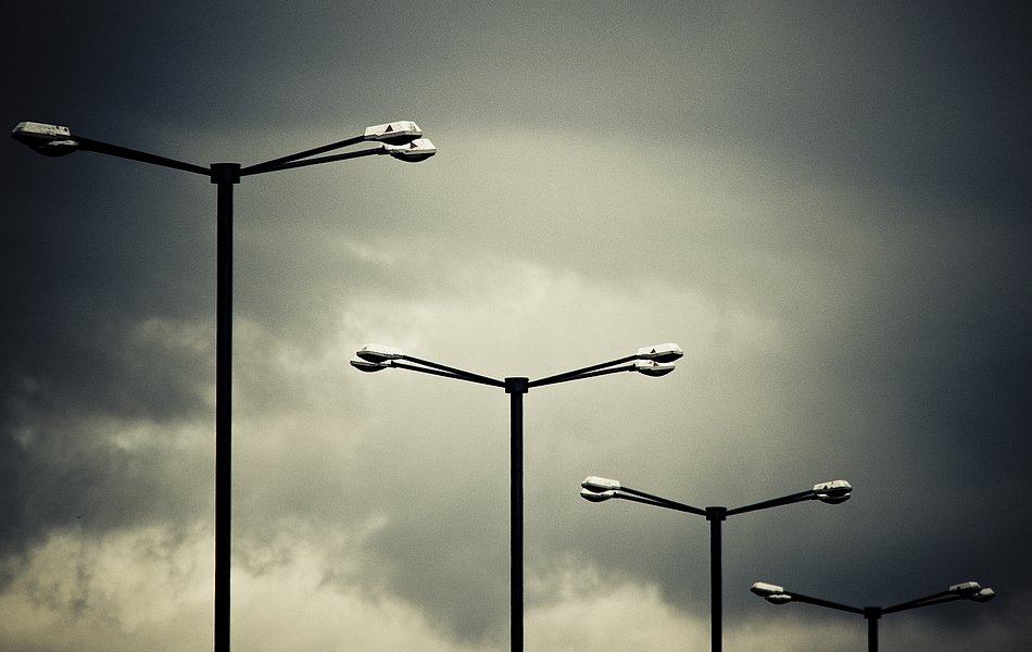 ...miejskie ważki...