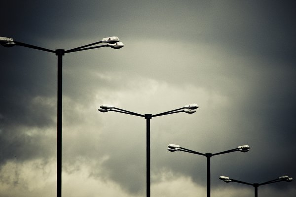 ...miejskie ważki...