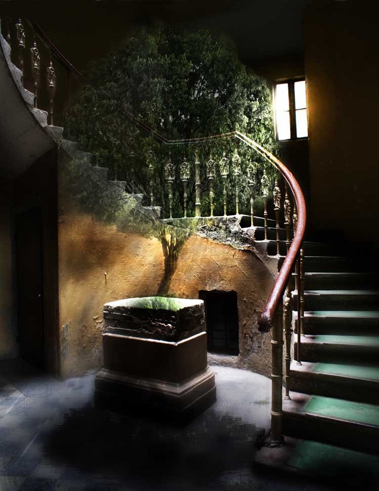 W cieniu dobrego drzewa