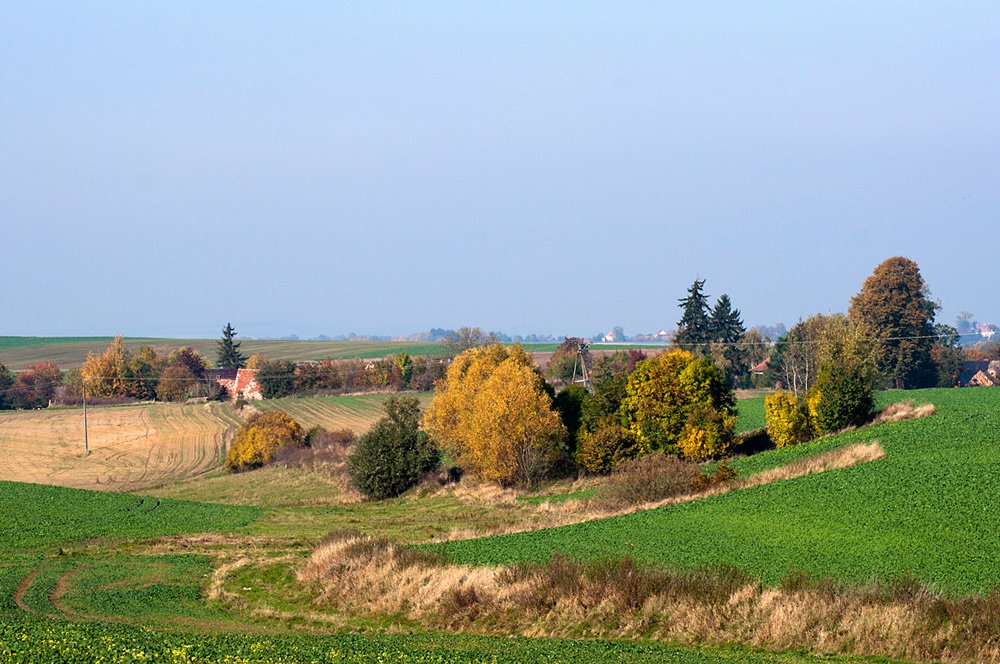 Polska nasza piękna cała