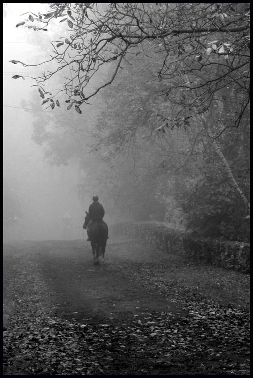 ...samotny jeżdziec we mgle...