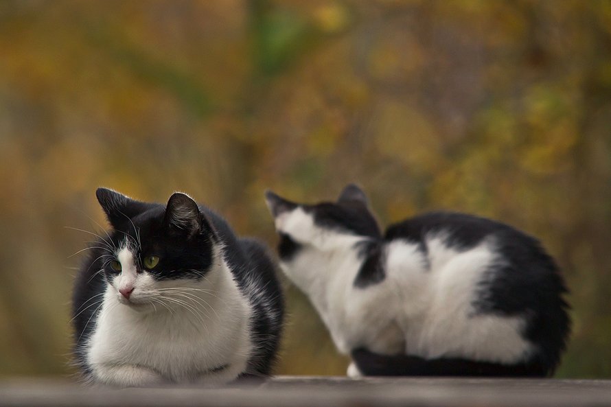 ...nic się nie dzieje...