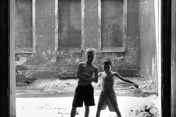 Przyjaciele z podwórka