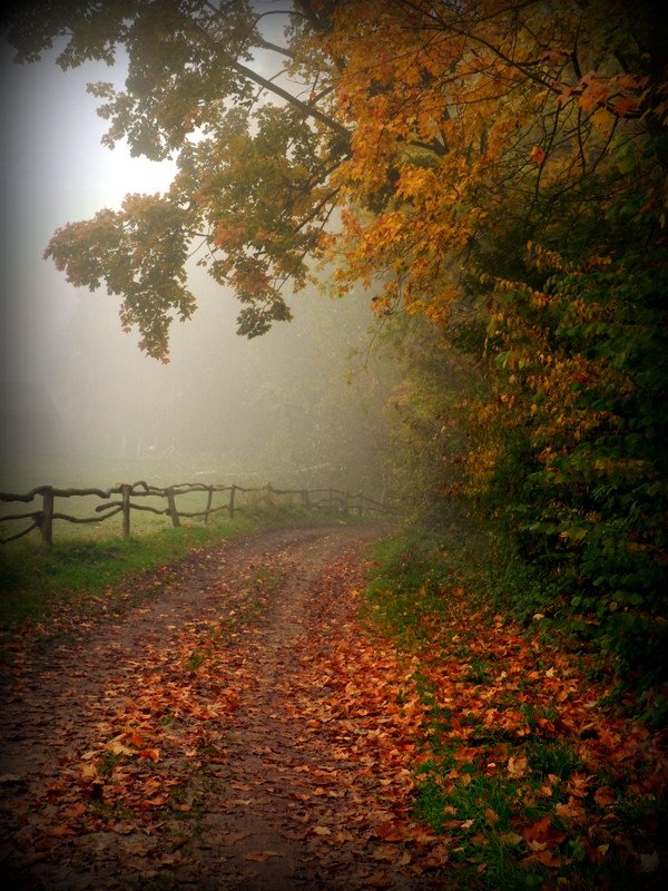 "Droga w nieznane...2"