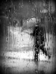 ...deszczowo B&W