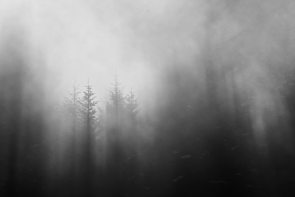 W tym teatrze aktorom nikt nie płaci