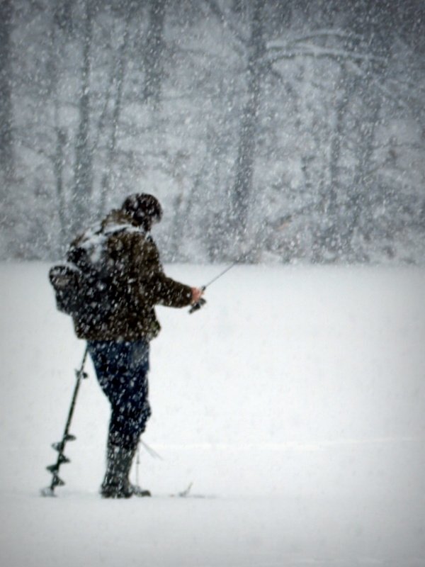 ...pasja ponad wszystko