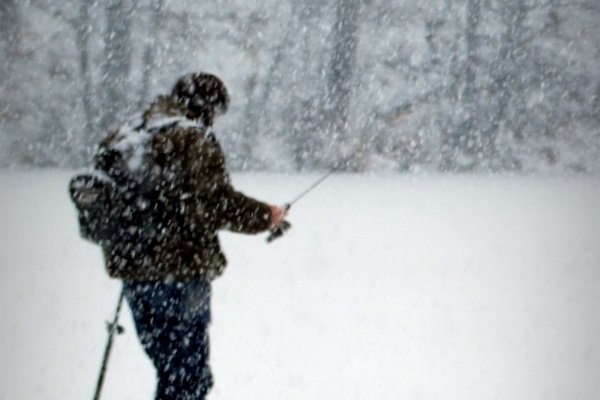 ...pasja ponad wszystko