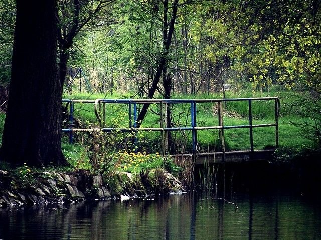 Sycowski park przed renowacją