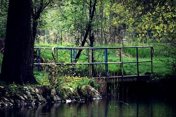 Sycowski park przed renowacją